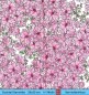 Preview: Viele rosa Blumen  - 1 Cocktail Serviette
